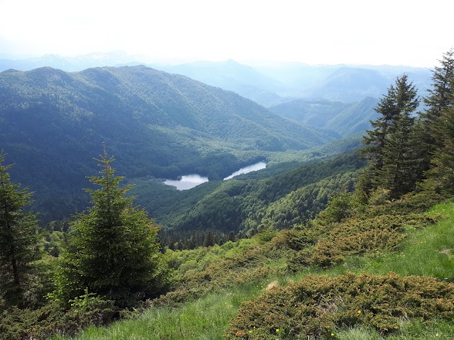 Biogradska gora