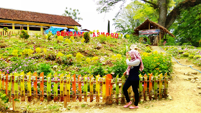 Photos of Sendang Asmoro Park