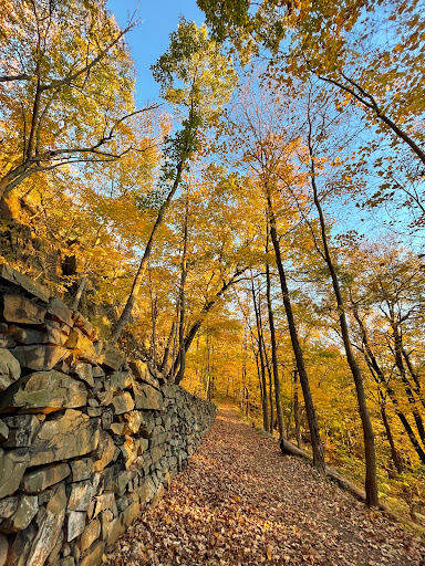 West Rock Playground - Thumbnail