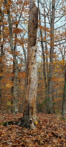 Devil's Marbleyard Parking - Visual