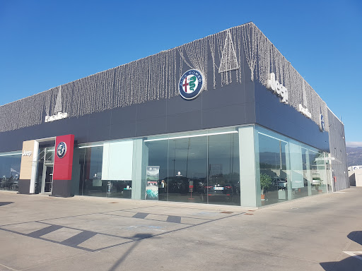 Paradiso S.r.l. - Alfa Romeo