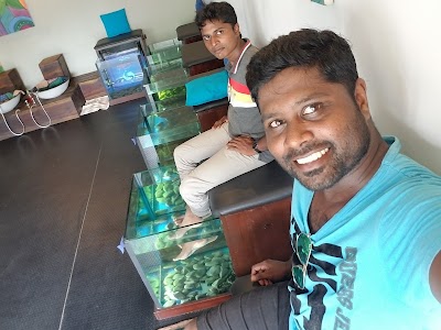 Photos of Ruthi's fish spa