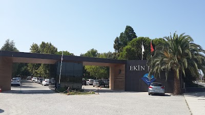 Ekin College