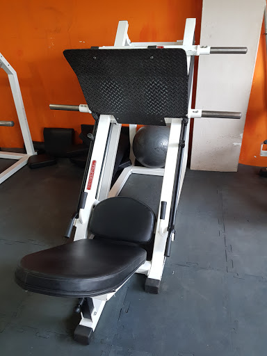 Vector GYM - Visual