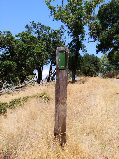 Ponti Ridge Trail Gallery - United States