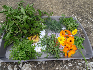 Photo n°22 de Ô prés d'ici Chambres d'hôtes- Pascale Leclercq et Bernard Gaudinet à Liévans (Hôtel)