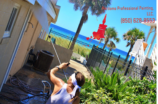 Perdomo Professional Painting - Thumbnail