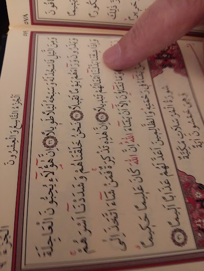 Photos of Ferik&ouml;y Halı Saha