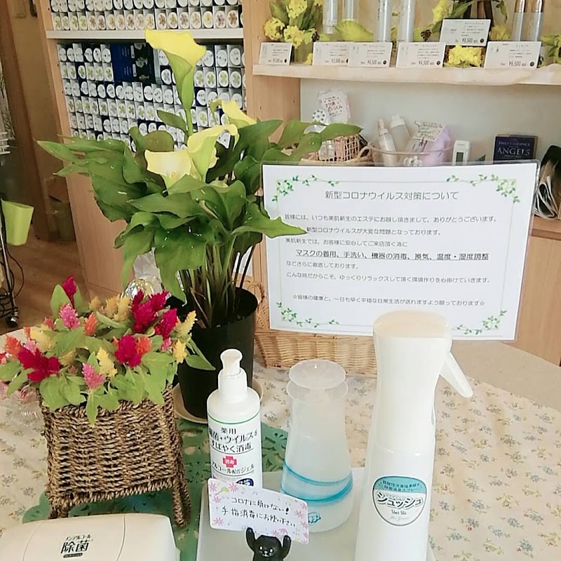 エステ＆コスメ 美肌新生