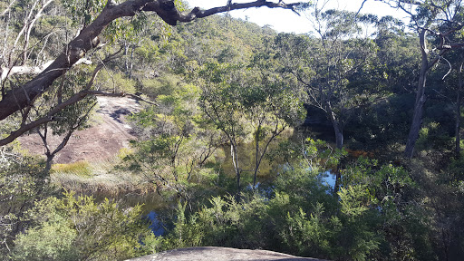 Lower Gosford Railway Dam - Thumbnail