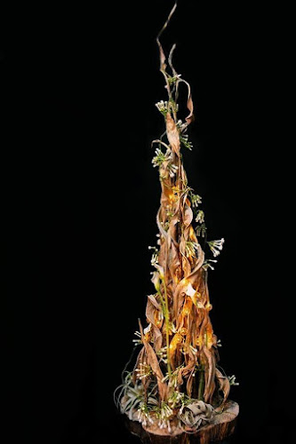 Stanisława Staszica 1, 20-081 Lublin