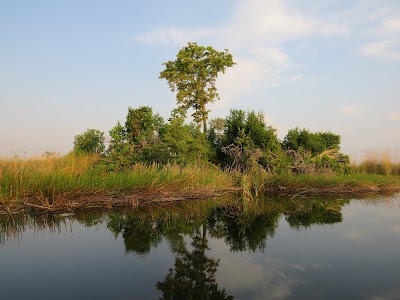 Photos of Camp Okavango