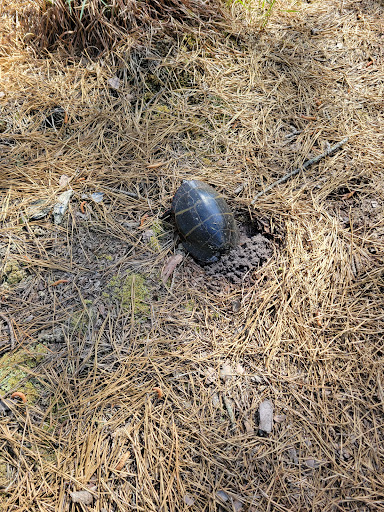 Crossley Nature Trail - Thumbnail