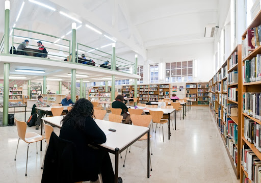 Iparraldeko Liburutegia / Biblioteca de Iparralde