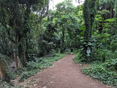 Honolua Park