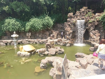 Photos of Swan Beak Park