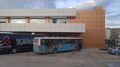 travel-agency