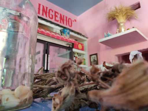 Mariscos Tío Rube y Bar El Ingenio - Thumbnail