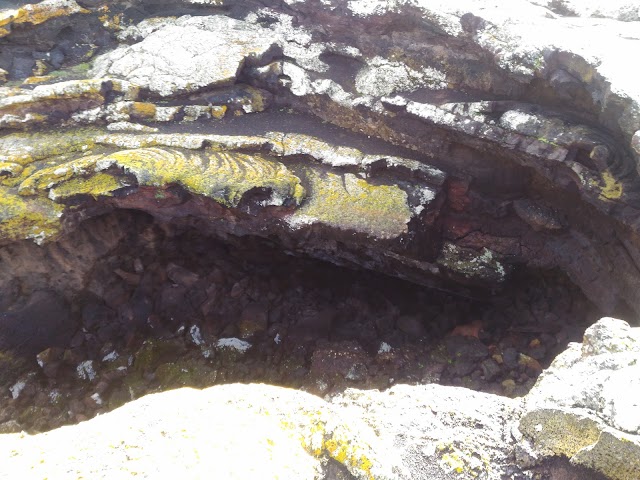 La Cueva de Las Palomas