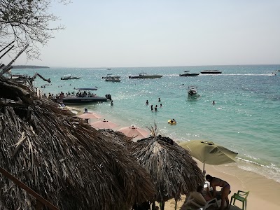 Photos of Ecohotelhector
