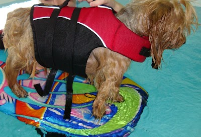 Photos of Animal Health & Hydro