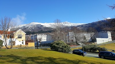 Photos of Fridalen skole