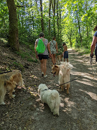 Photo n°18 de Camping du Lac de Saint-Pardoux - Terracamps à Saint-Pardoux-le-Lac (Terrain de camping)