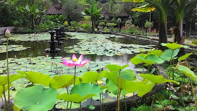 Photos of Bali Private Tour Guide & Driver