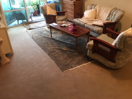 Jena's Carpet Cleaning - Thumbnail