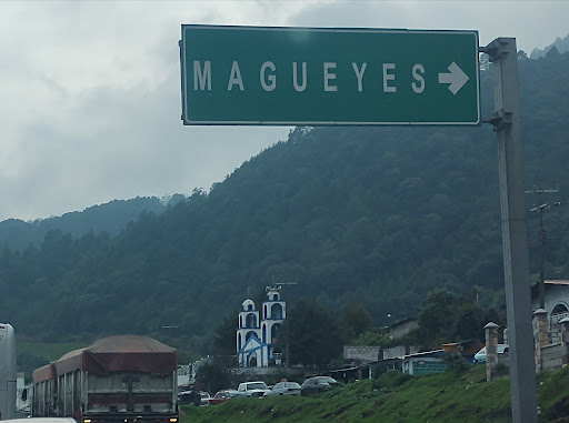 Magueyes - Visual