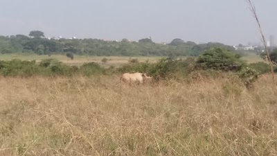 Photos of Kenya Wildlife Services Headquarters