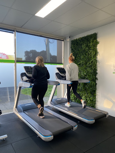 MINT PT STUDIO - Visual
