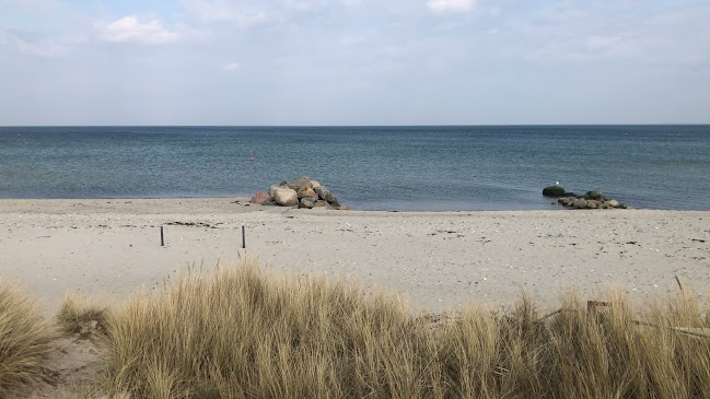 Anmeldelser af Hasmark i Otterup - Restaurant