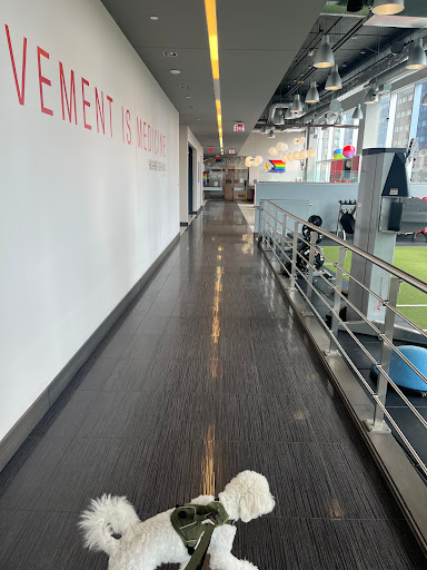 Higher Ground Health Club Gallery - Canada