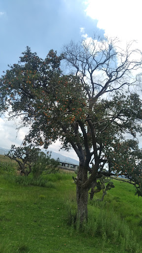 Rancho Los Hermanos Dionisio - Thumbnail