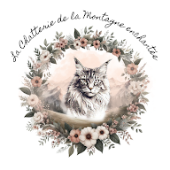 Chatterie de la montagne enchantée/Élevage du Suquet Negre à Rempnat