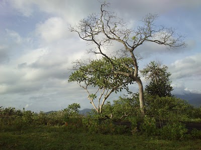 Photos of Meheni Ashramaya Dobhawela