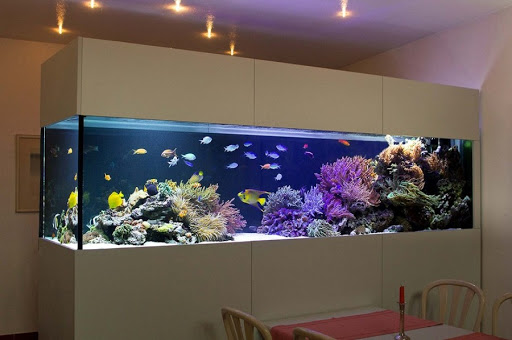 DEB Aquatic Concierge - Visual