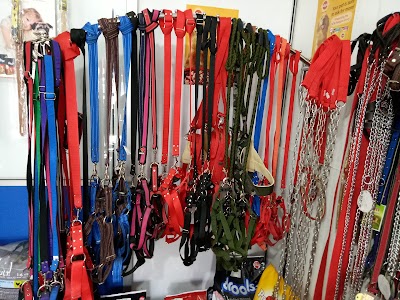 Photos of CD Kennel's