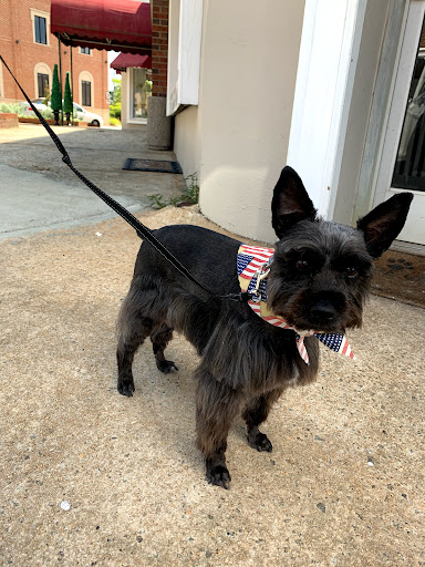 Good Boy Grooming by Leigh - Thumbnail