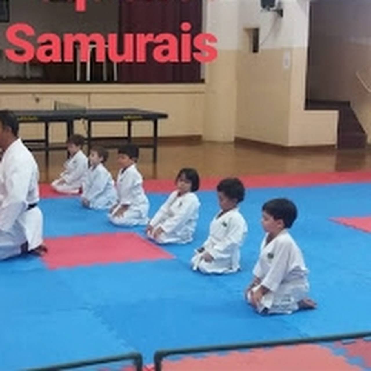 Associação Budo Kai De Karate Shotokan Escola De Karate Do No Bairro