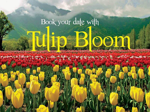 Tulip Festival 2019 post image