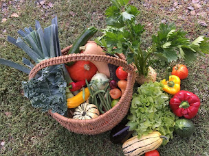 Photo n°8 de Le Rheu Maraîchers à Le Rheu (Maraîcher)