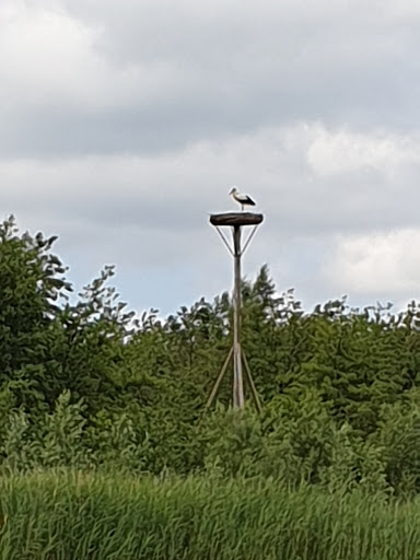 Lutkemeer - Thumbnail