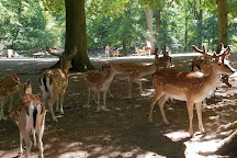 Marselisborg Deer Park, Aarhus, Denmark