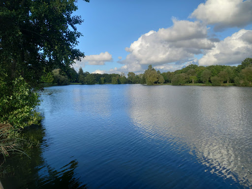 Plan d'eau de Mauron