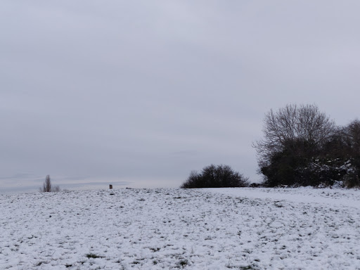 Weavers Field - Visual