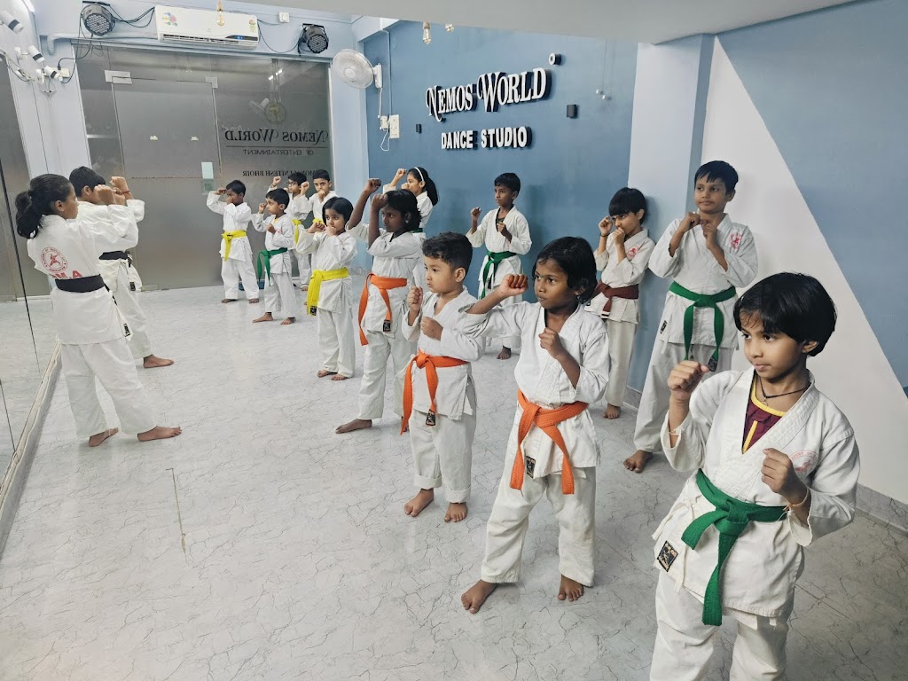 Academy Of Martial Art Association