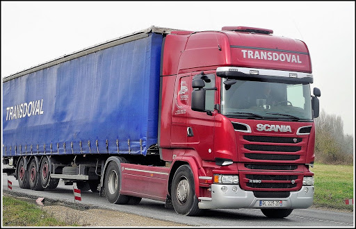 Transdoval - Visual