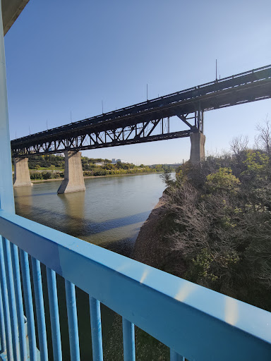 Edmonton River Valley - Visual